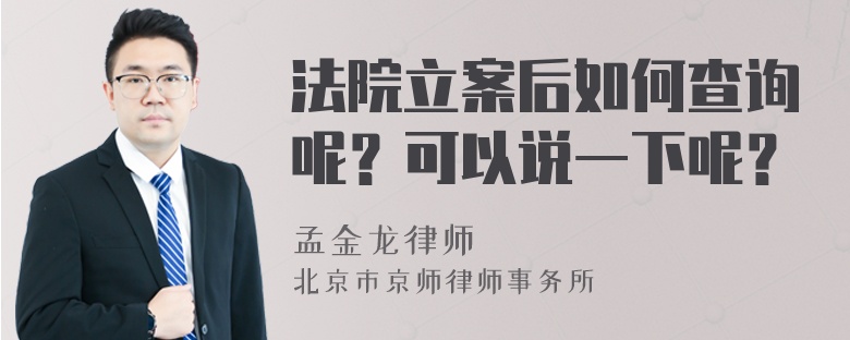 法院立案后如何查询呢？可以说一下呢？