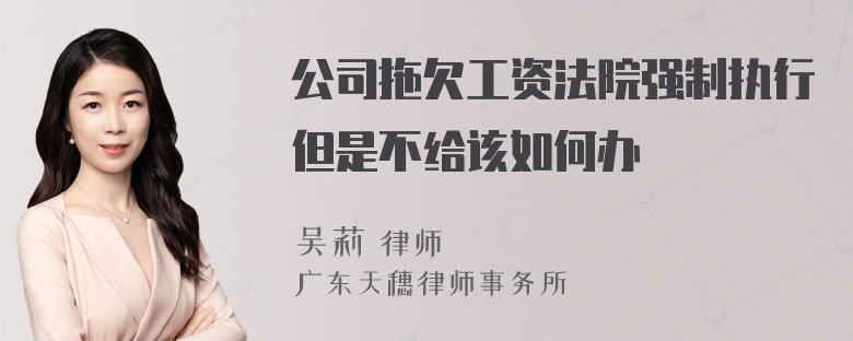 公司拖欠工资法院强制执行但是不给该如何办