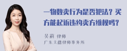 一物数卖行为是否犯法？买方能起诉违约卖方维权吗？