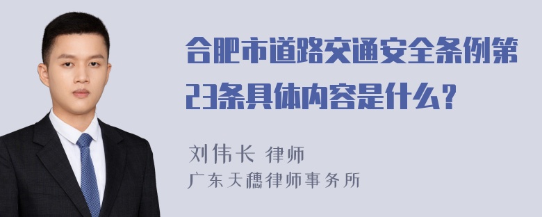 合肥市道路交通安全条例第23条具体内容是什么？