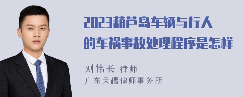 2023葫芦岛车辆与行人的车祸事故处理程序是怎样