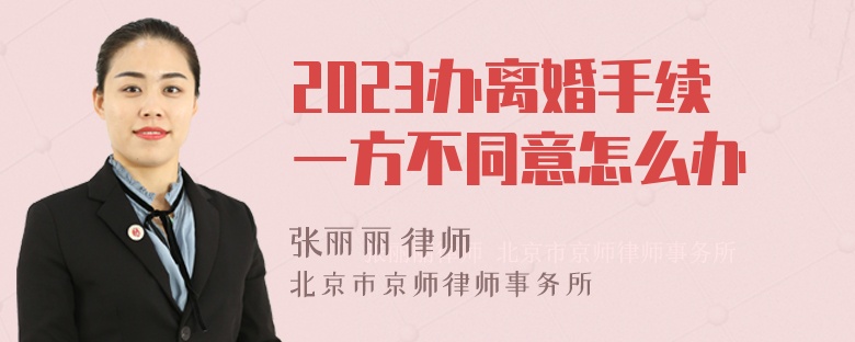 2023办离婚手续一方不同意怎么办