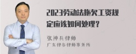 2023劳动法拖欠工资规定应该如何处理？