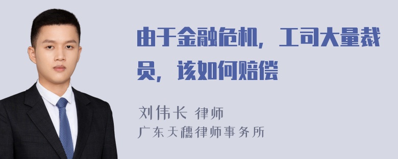 由于金融危机，工司大量裁员，该如何赔偿