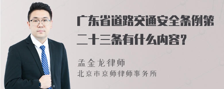 广东省道路交通安全条例第二十三条有什么内容？