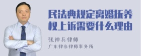 民法典规定离婚抚养权上诉需要什么理由