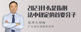 2023什么是指刑法中规定的首要分子