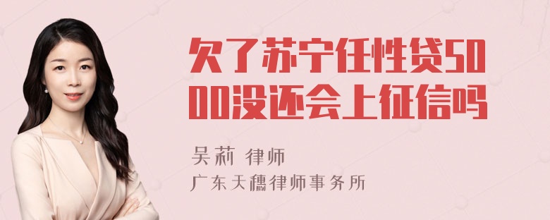 欠了苏宁任性贷5000没还会上征信吗