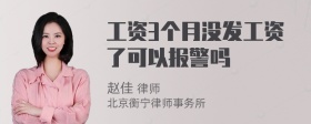 工资3个月没发工资了可以报警吗