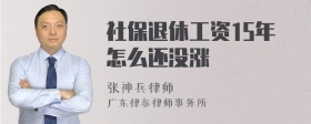 社保退休工资15年怎么还没涨