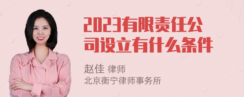 2023有限责任公司设立有什么条件