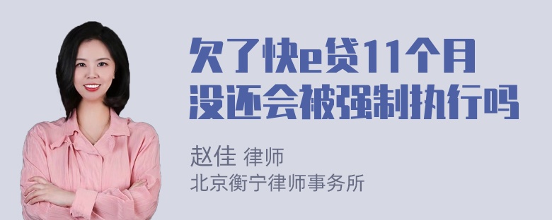 欠了快e贷11个月没还会被强制执行吗