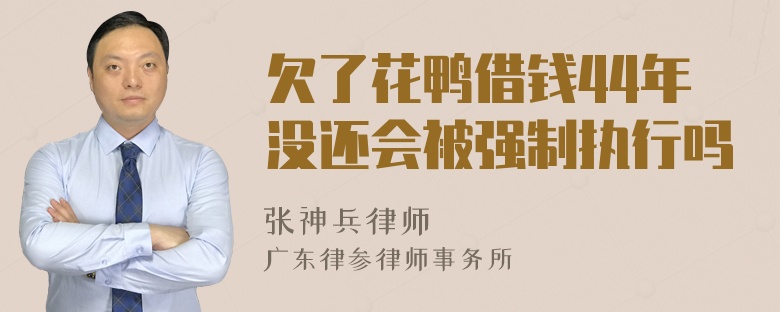 欠了花鸭借钱44年没还会被强制执行吗