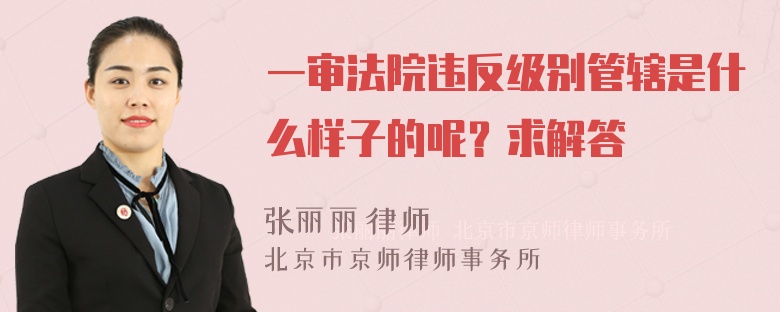 一审法院违反级别管辖是什么样子的呢？求解答