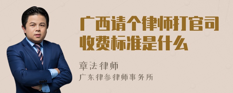 广西请个律师打官司收费标准是什么