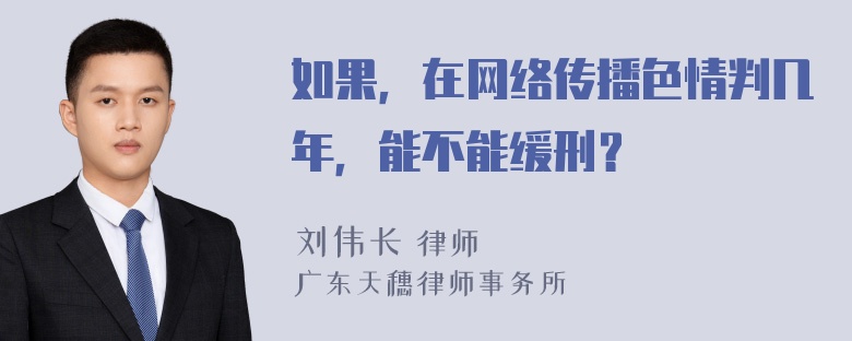 如果，在网络传播色情判几年，能不能缓刑？