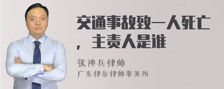 交通事故致一人死亡，主责人是谁