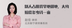 别人占用我旱地耕地，大约赔偿多少钱一亩