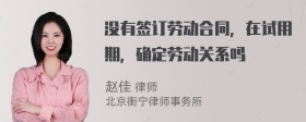 没有签订劳动合同，在试用期，确定劳动关系吗