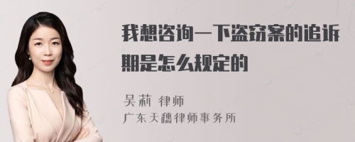 我想咨询一下盗窃案的追诉期是怎么规定的