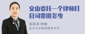 文山委托一个律师打官司费用多少