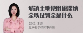 城镇土地使用税滞纳金以及罚金是什么