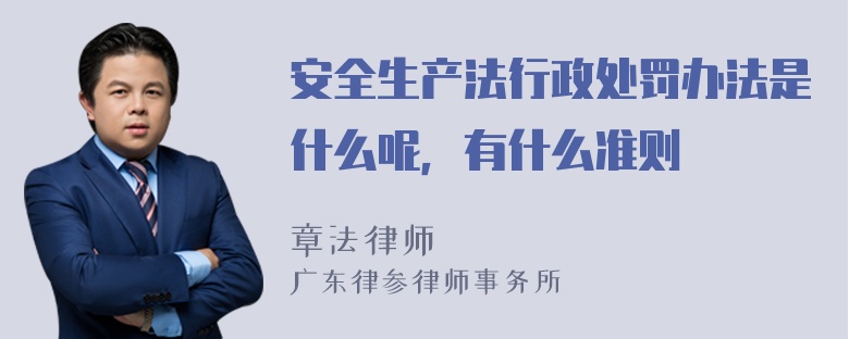 安全生产法行政处罚办法是什么呢，有什么准则