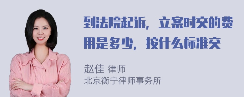 到法院起诉，立案时交的费用是多少，按什么标准交