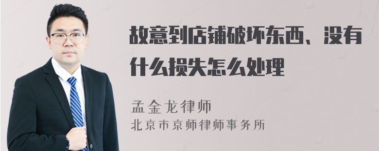 故意到店铺破坏东西、没有什么损失怎么处理