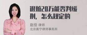 退赃20万能否判缓刑，怎么规定的