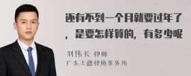 还有不到一个月就要过年了，是要怎样算的，有多少呢