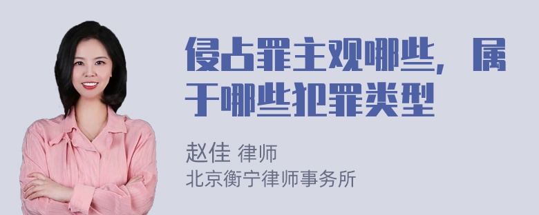 侵占罪主观哪些，属于哪些犯罪类型