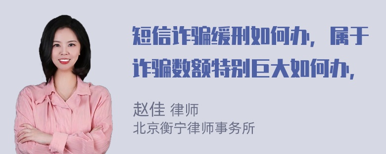 短信诈骗缓刑如何办，属于诈骗数额特别巨大如何办，