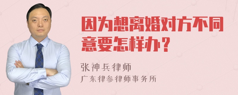 因为想离婚对方不同意要怎样办？