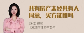 共有房产未经共有人同意，买方能用吗