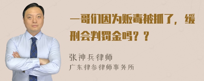 一哥们因为贩毒被抓了，缓刑会判罚金吗？？