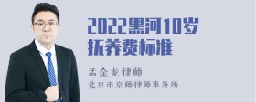 2022黑河10岁抚养费标准