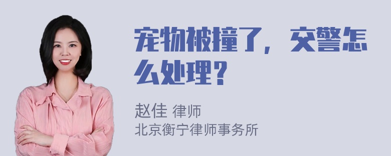 宠物被撞了，交警怎么处理？