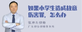 如果小学生造成故意伤害罪，怎么办