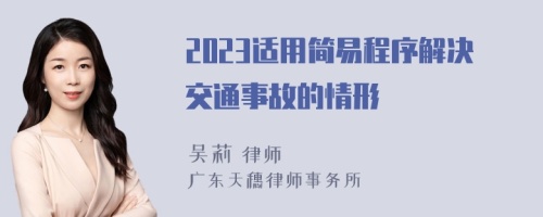 2023适用简易程序解决交通事故的情形