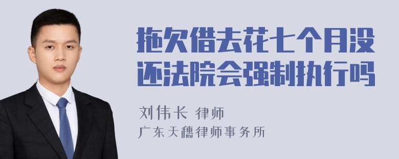 拖欠借去花七个月没还法院会强制执行吗