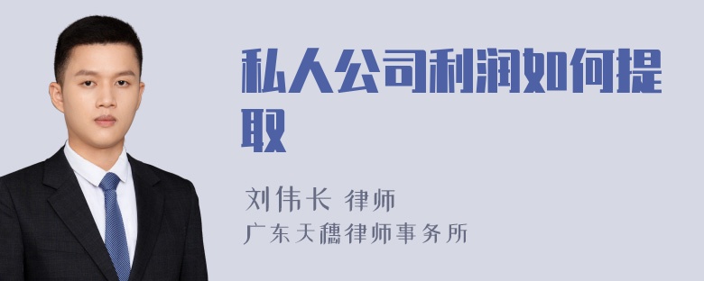 私人公司利润如何提取