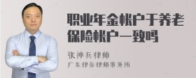 职业年金帐户于养老保险帐户一致吗