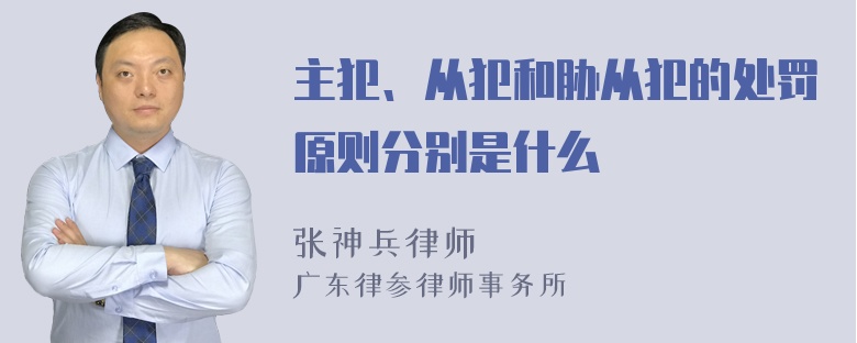 主犯、从犯和胁从犯的处罚原则分别是什么