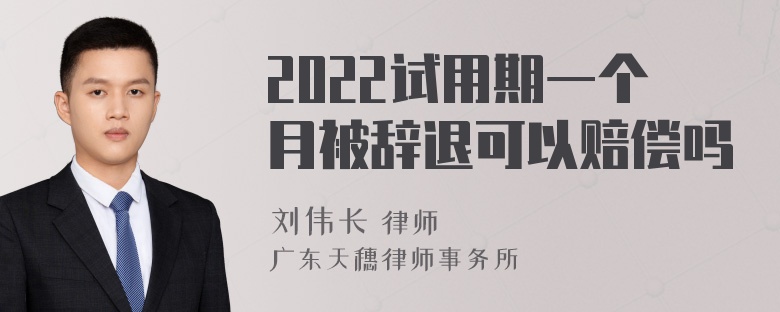 2022试用期一个月被辞退可以赔偿吗