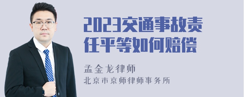 2023交通事故责任平等如何赔偿