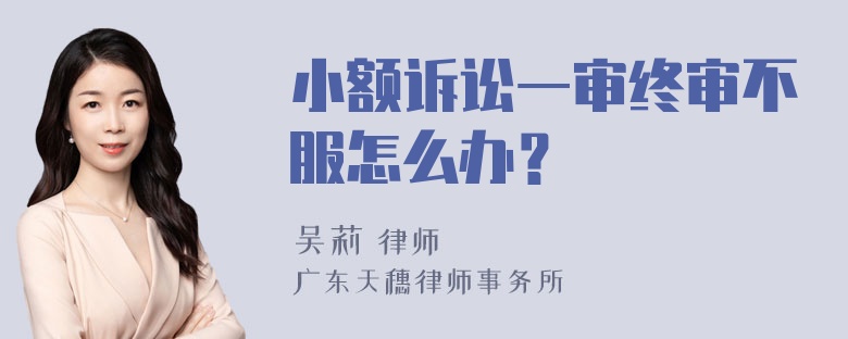 小额诉讼一审终审不服怎么办？