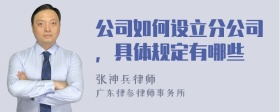 公司如何设立分公司，具体规定有哪些