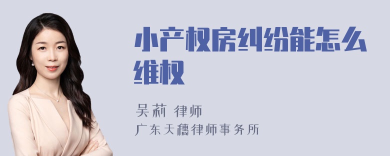 小产权房纠纷能怎么维权