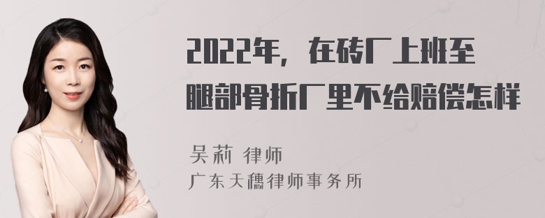 2022年，在砖厂上班至腿部骨折厂里不给赔偿怎样